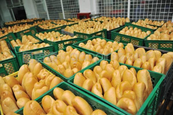 現代面包工廠 食品生產的科學流程與質量管理