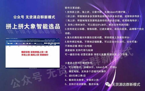 拼多多無貨源店群模式解析 運(yùn)營技術(shù)、招商代理與風(fēng)險(xiǎn)規(guī)避指南